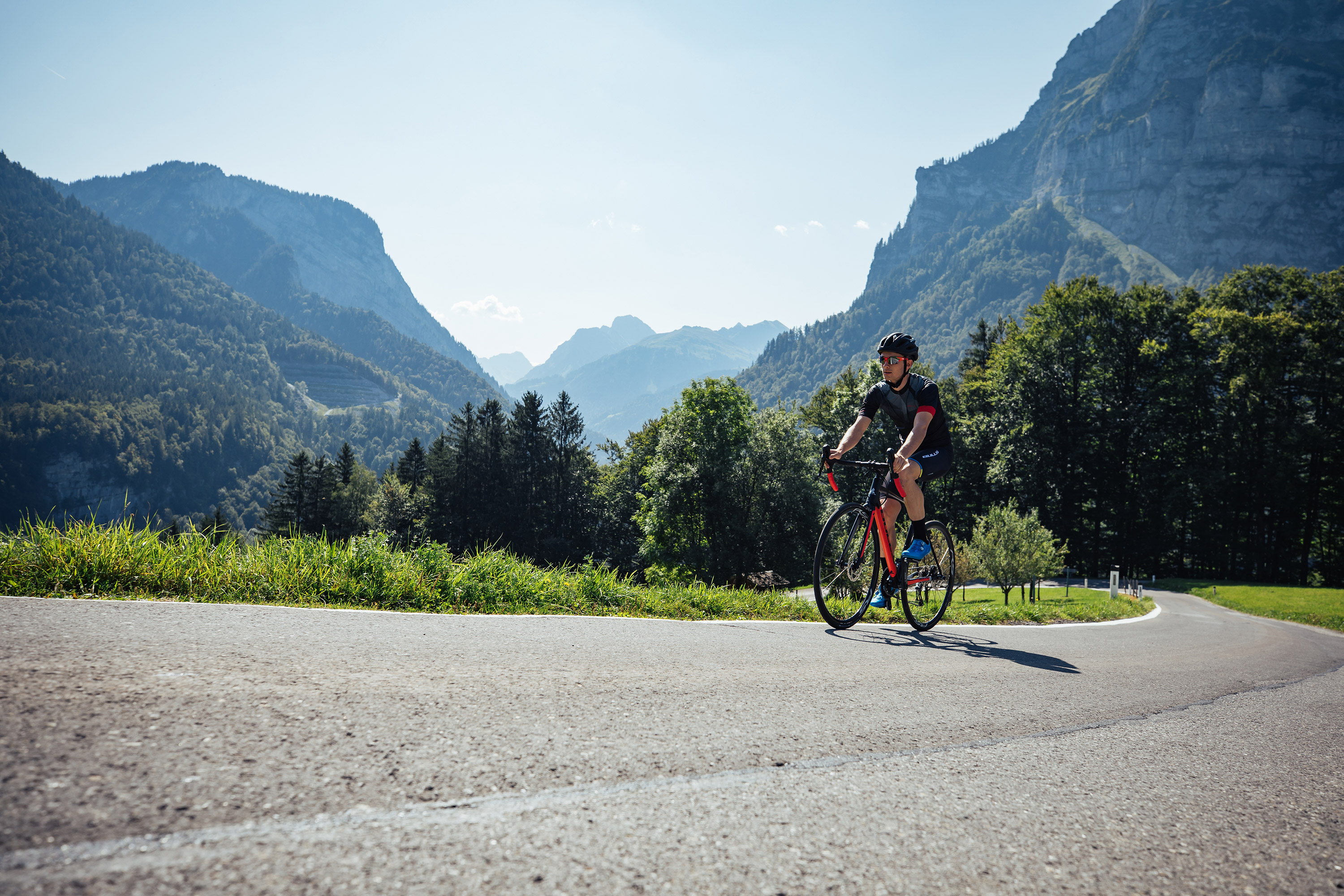 bike_rennraeder_alle_bulls_2020.jpg